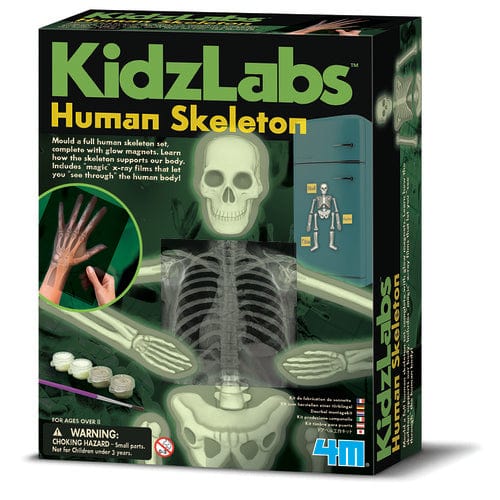 4M Technology & Engineering 4M - Human Skeleton