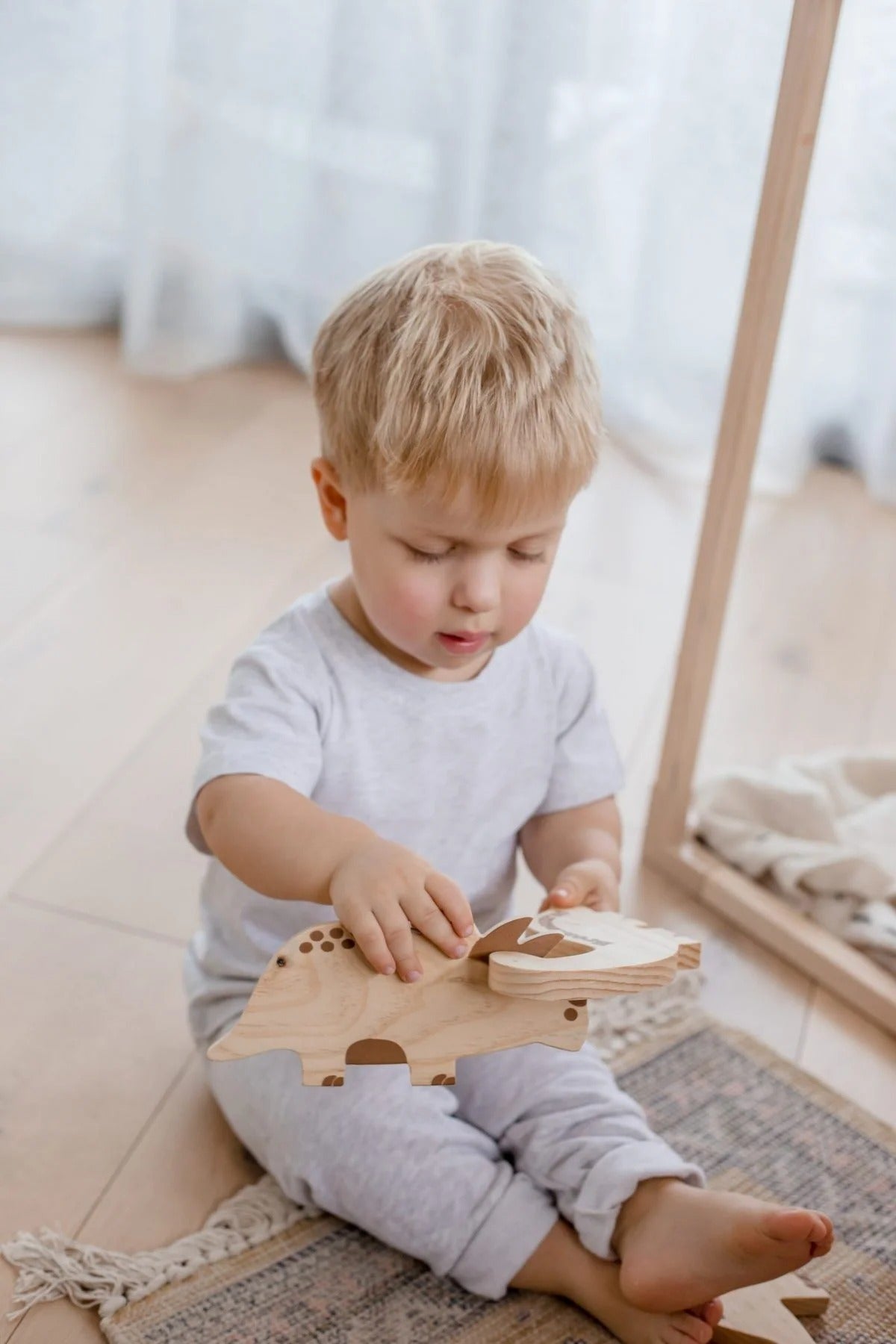 Wooden Dinosaurs Set of 5