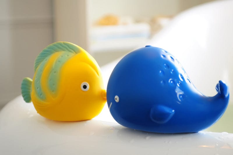 caaOcho Bath Toys caaOcho Kala the Whale | Natural rubber bath toy