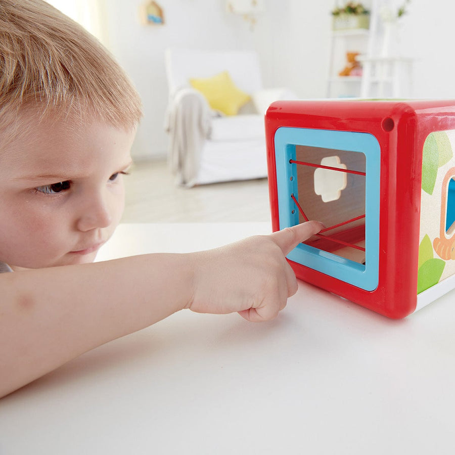 Hape Wooden Blocks Hape Shape Sorting Box