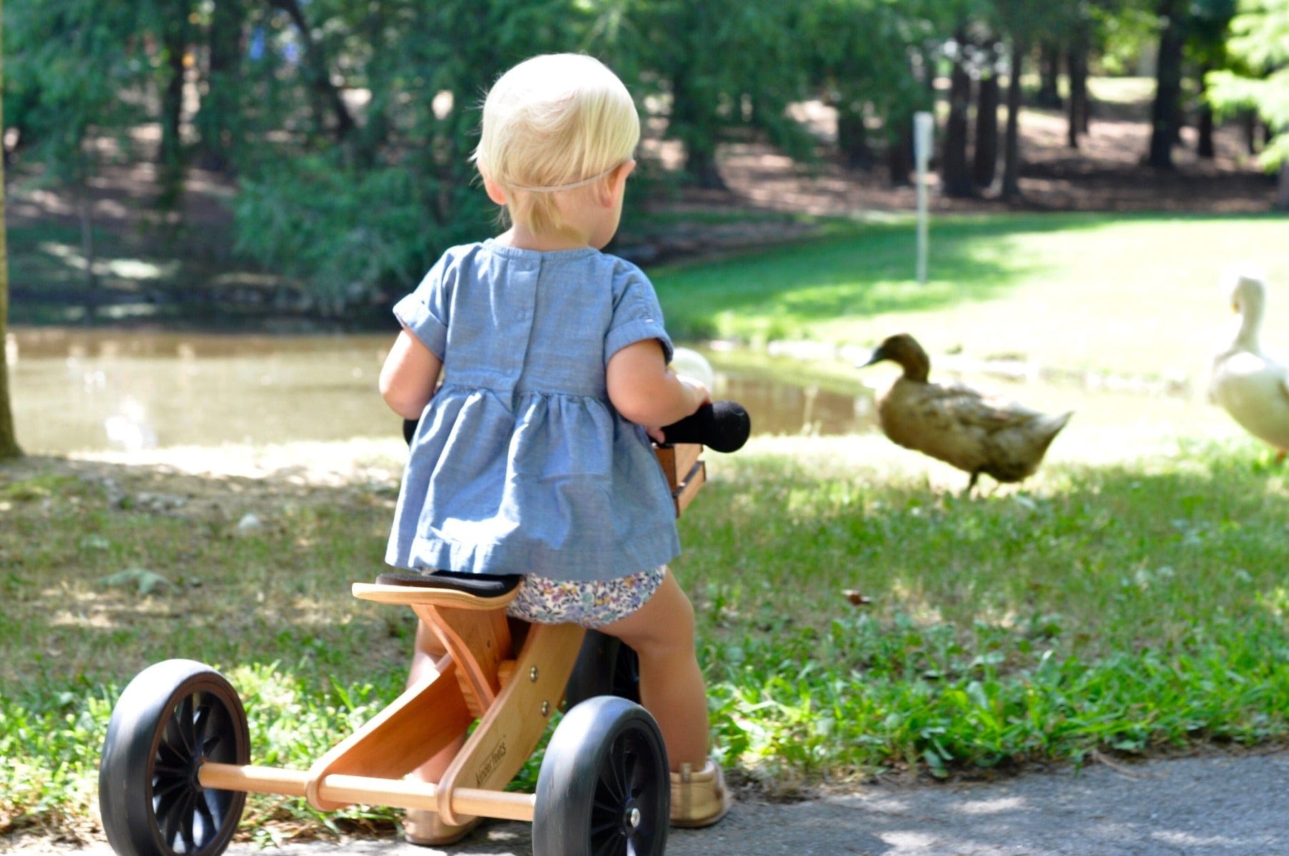 Kinderfeets Balance Bikes Kinderfeets Bamboo Tiny Tot Trike and Balance Bike