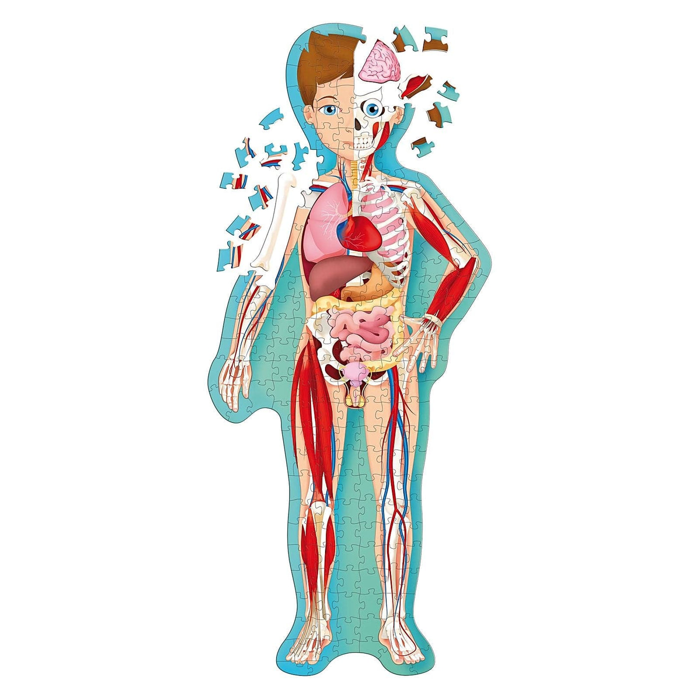 Sassi Junior Education Resources & STEM The Human Body Puzzle & Book Discovery Set