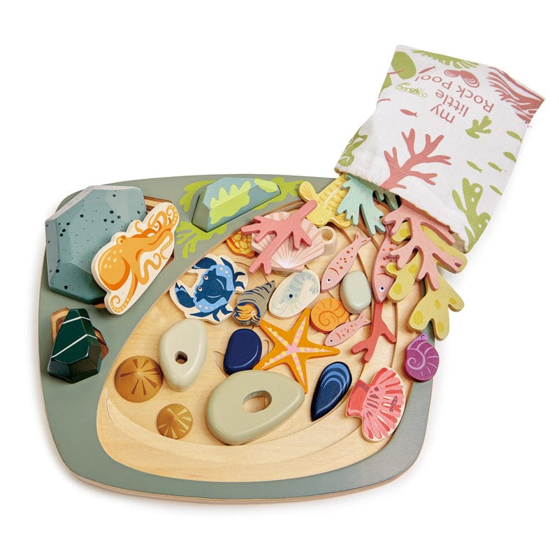 Tender Leaf Toys Animals & Dinosaurs My Little Rock Pool