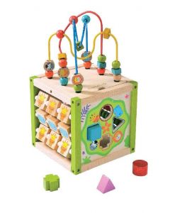 EverEarth My First Multi-Play Activity Cube