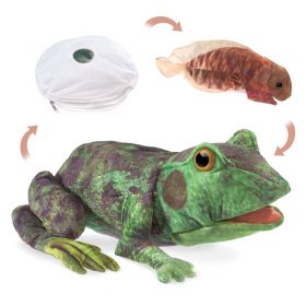 Frog Lifecycle Puppet