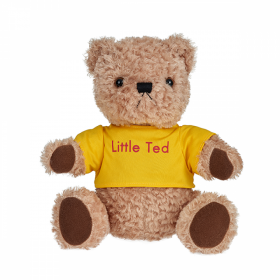 Little Ted Plush