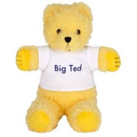 Big Ted Beanie