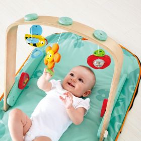 Hape Portable Baby Gym